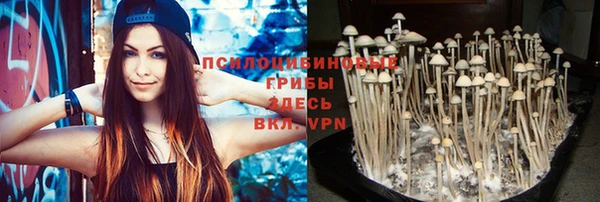 спайс Балабаново